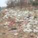 शेलू येथे रस्त्याच्या कडेला प्लास्टिक पिशव्यांचा खच