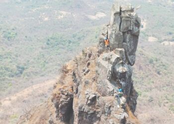 मॅकविला द जंगल यार्डची ‘वानरटोक’ मोहीम