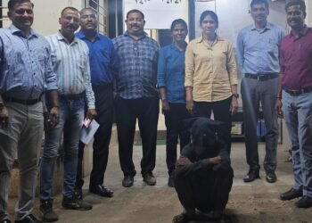 महिलेचा खून करणारा अटकेत