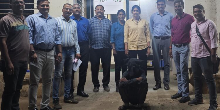 महिलेचा खून करणारा अटकेत