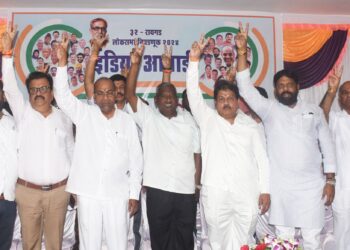 तटकरे जमिनींचे दलाल