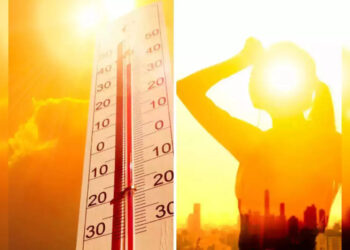 श्रीवर्धन-म्हसळा तापले!