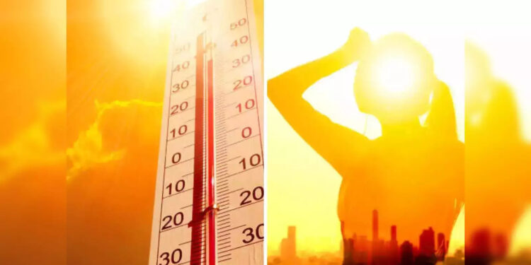 श्रीवर्धन-म्हसळा तापले!