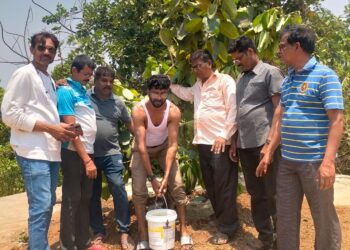 निसर्ग संवर्धनाची अनोखी गुढी