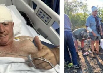 क्रिकेटपटूवर बिबट्याचा हल्ला, कुत्र्याने वाचवला प्राण