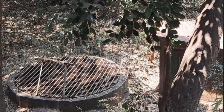 जंगलातील विहिरी फॉरेस्ट गार्डनसाठी वरदान