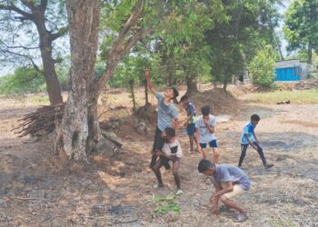 जांभळे, करवंदे खाण्यात बच्चे कंपनी मग्न