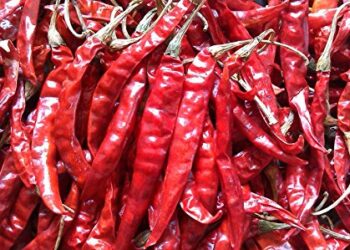 लाल मिरचीचा ठसका झाला कमी