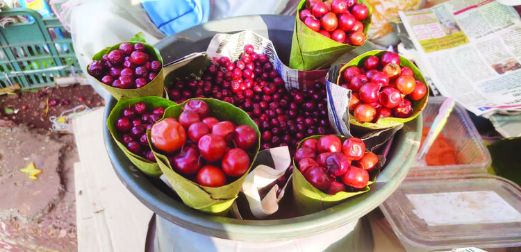 माथेरानचा जंगली मेवा बाजारात