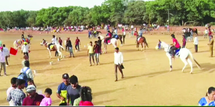 माथेरानमध्ये अश्‍वशर्यतींचा थरार