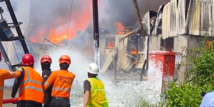 रसायनीत थिनर बनविणा-या कंपनीला भीषण आग