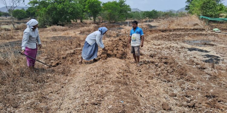 जिल्ह्यात बांधबंदीस्तीच्या कामांना वेग