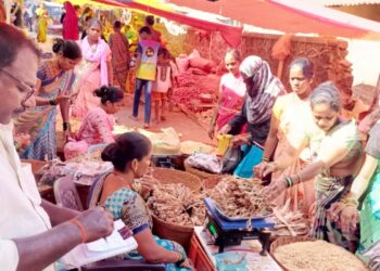 पावसाळ्यापूर्वीच्या बेगमीसाठी महिलांची धावपळ