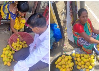 मुरूडच्या मुख्य मार्केटमध्ये हापूसची मोठी आवक