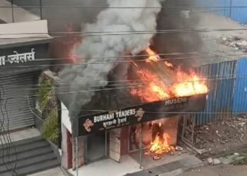 दोन दुकानांना भीषण आग