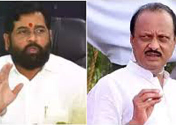 शिंदे व पवारांचा लवकरच राजकीय अस्त