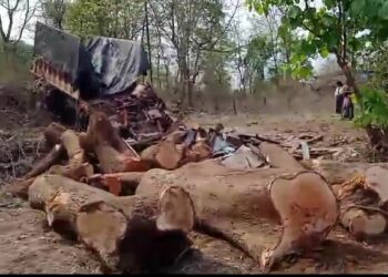 ट्रक उलटून एक ठार, तीन जखमी