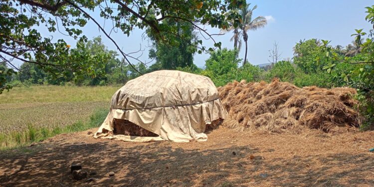 अवकाळी पावसाने झोडपले