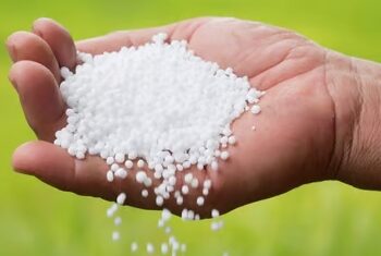 नागोठण्यात युरिया खताचा तुटवडा