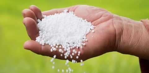 नागोठण्यात युरिया खताचा तुटवडा