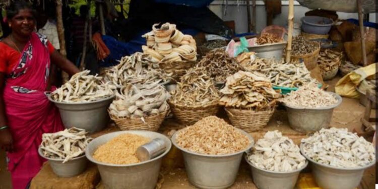 सुक्या मासळीचे दर वधारले