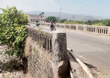 मजगाव पुलाला झाडाझुडपांचा विळखा