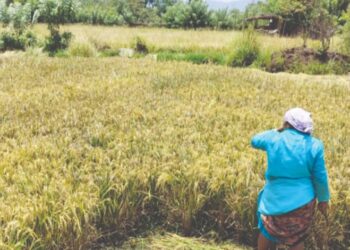 माणगावकरांवर अवकाळीचे संकट!