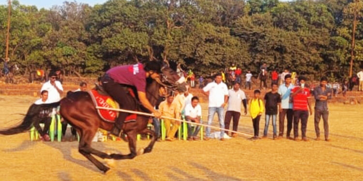 माथेरान पर्यटनस्थळी येणार्‍या पर्यटकांसाठी मेजवानी