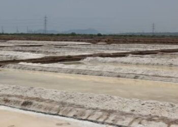 भरावाचा मीठ उत्पादनावर परिणाम