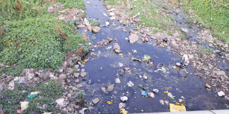 सर्वसामान्यांनी केली नालेसफाईची मागणी