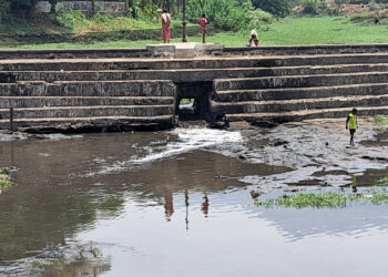 तलावातील जलपर्णींमुळे उल्हास नदीचे प्रदूषण