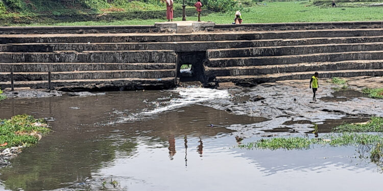 तलावातील जलपर्णींमुळे उल्हास नदीचे प्रदूषण