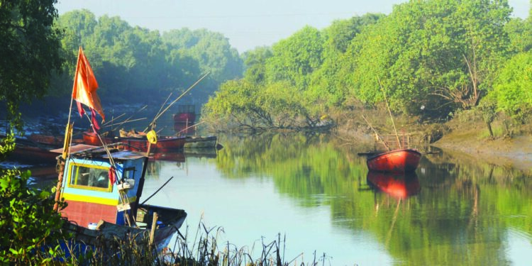 आमटेम-निगडेच्या खाडीत अवैध वाळू उत्खनन?