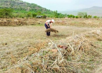 रणरणत्या उन्हात शेतीच्या कामाला वेग