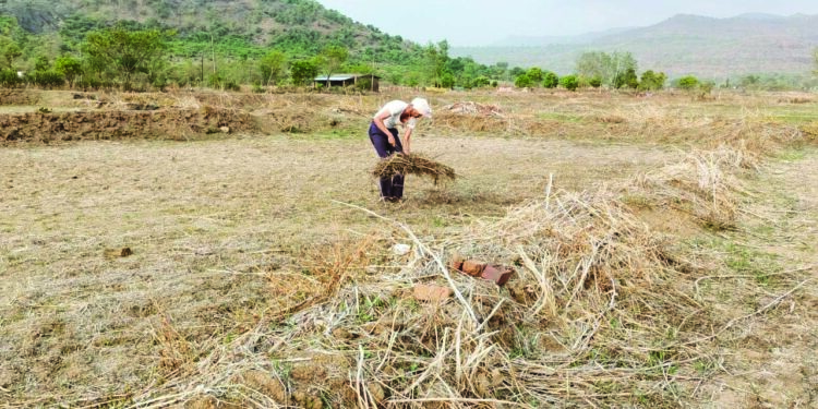 रणरणत्या उन्हात शेतीच्या कामाला वेग