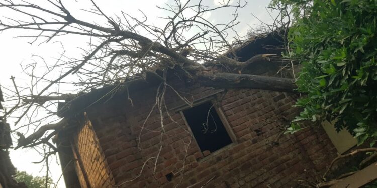 सुधागड तालुक्याला घरांचे नुकसान