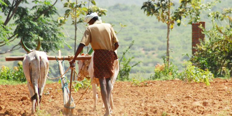 शेती मशागतीच्या कामाला वेग