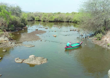 पाणी निचरा होणाऱ्या खाड्या रुतल्या गाळात