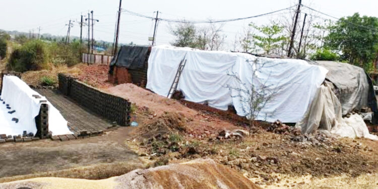 अवकाळीने मोडले कंबरडे