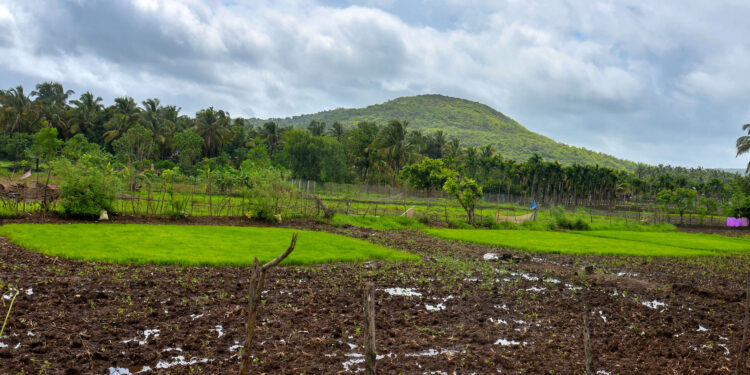 भात विमा एक रुपयात