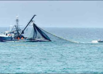 मासेमारी बंदी रोखण्यासाठी कोळी बांधवांची मागणी