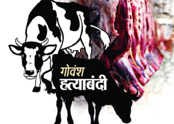 श्रीवर्धन पोलिसांची मोठी कारवाई