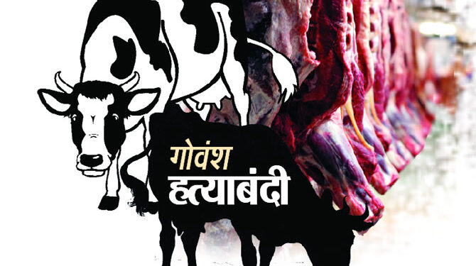 श्रीवर्धन पोलिसांची मोठी कारवाई