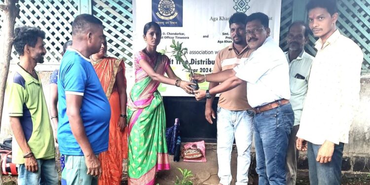 फळ झाडांच्या रोपांचे वाटप