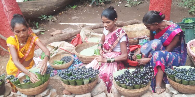 मिनी ट्रेनमुळे आदिवासींना हक्काचा रोजगार