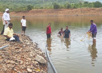 जामरूंग पाझर तलावाने गाठला तळ