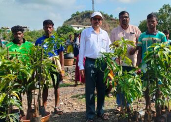 जंगलाचा राजा करणार वृक्षारोपण