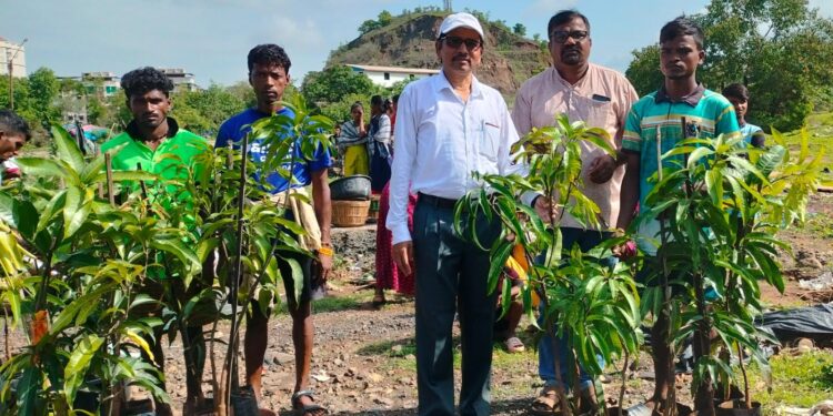 जंगलाचा राजा करणार वृक्षारोपण