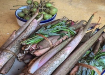 पावसाआधीच शेवळाची भाजी बाजारात