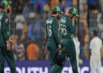 पाकिस्तान संघाच्या खाजगी डिनर पार्टीचा वाद